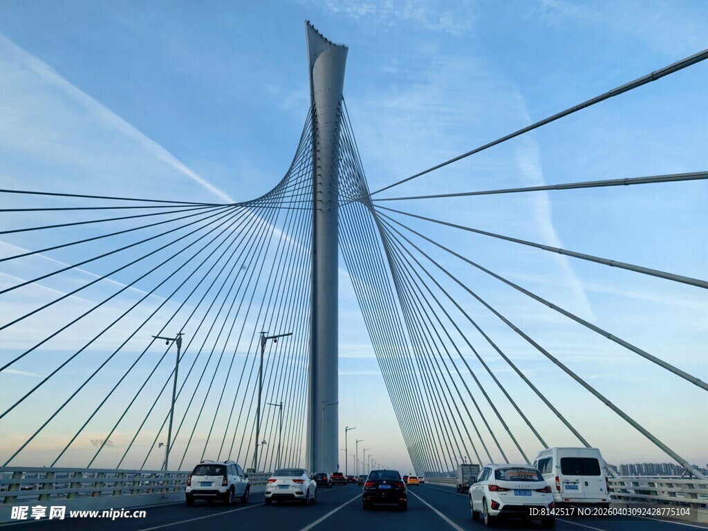 现代斜拉桥上行驶的车辆