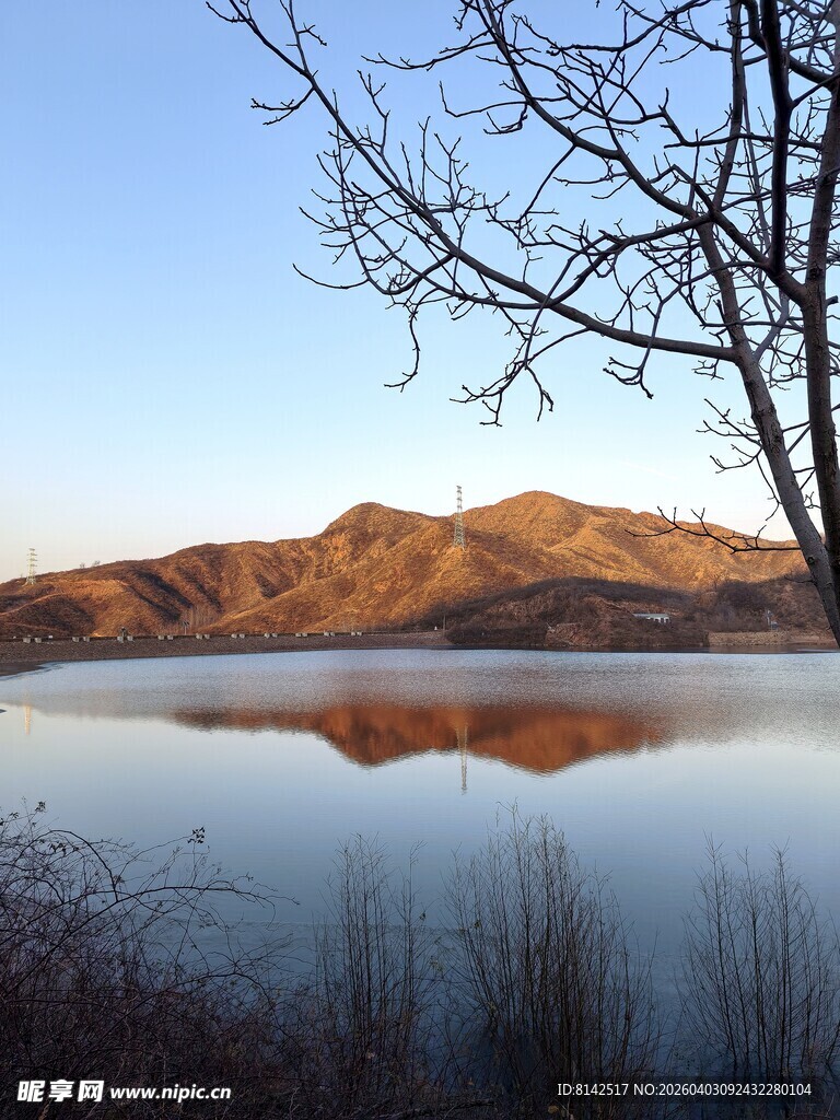 湖畔冬景 远山静水枯枝