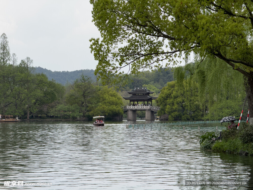 湖畔垂柳下的静谧水乡景色