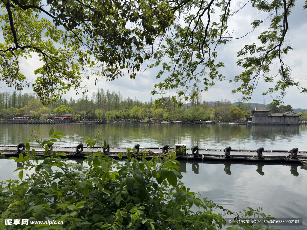 湖畔绿荫下的宁静景致