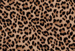 豹纹图案纹理背景