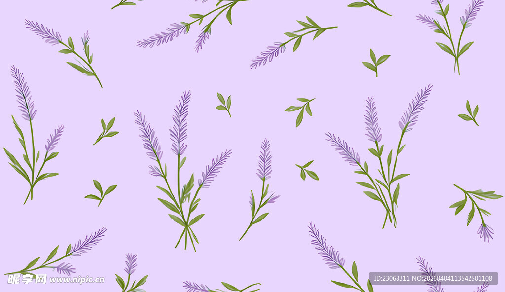 淡紫色薰衣草花卉背景图