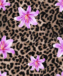 豹纹背景上的粉色花朵