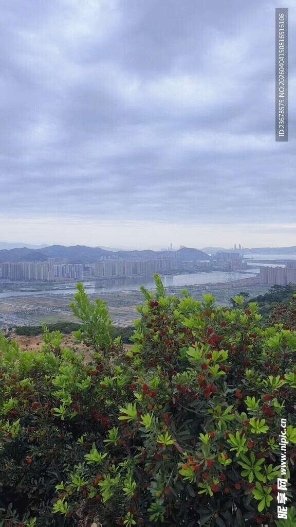 俯瞰绿意盎然的开阔景致