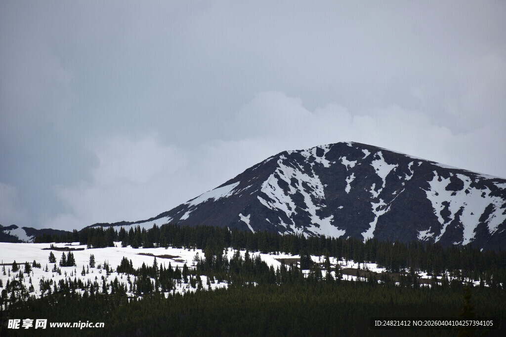 雪山与森林的自然景致