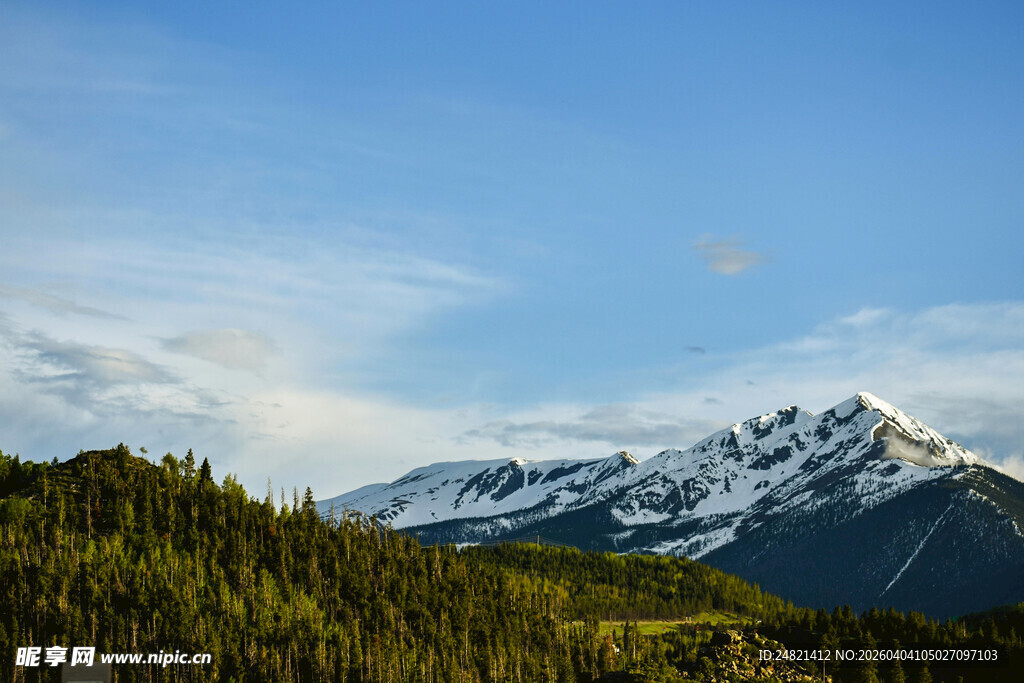 雪山森林间的壮丽风光