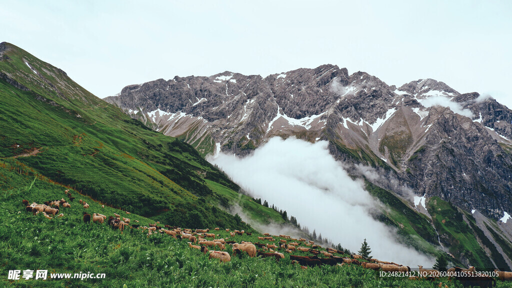 高山绿野间的壮丽雪景