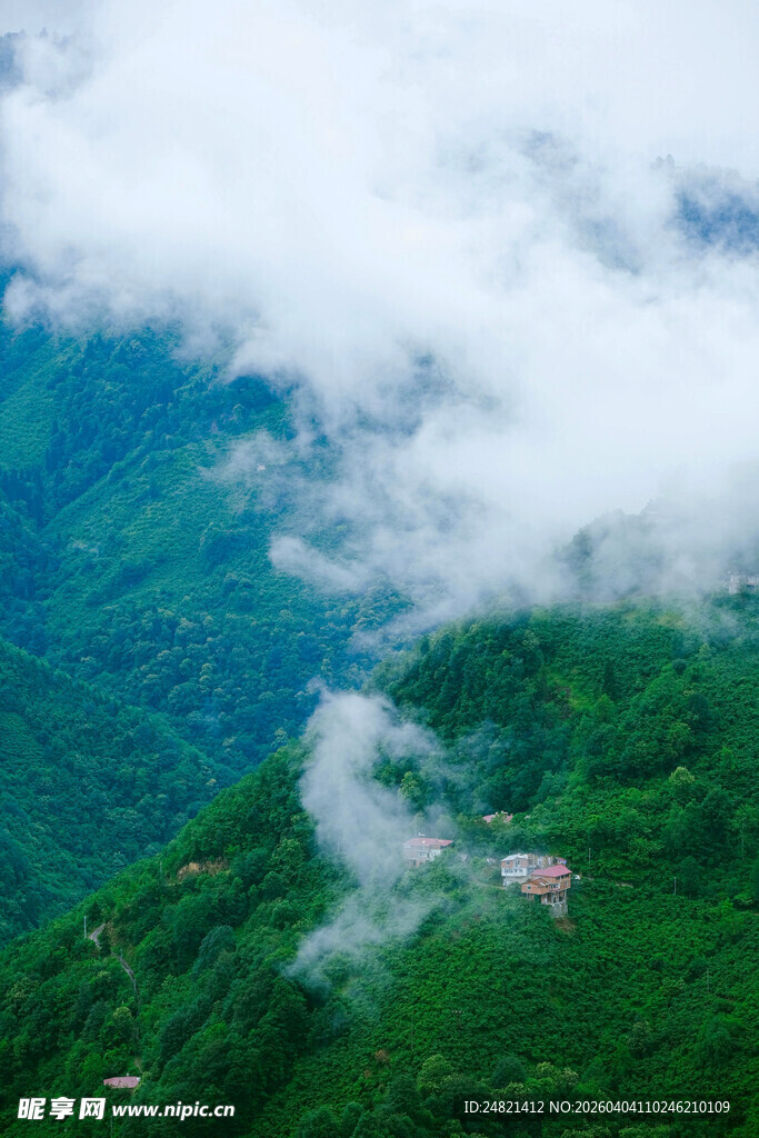 山间云雾缭绕的绿色景致