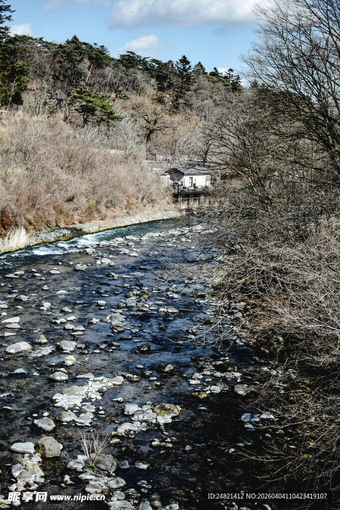 山间溪流潺潺流淌