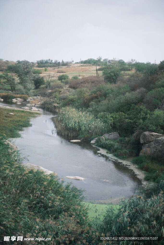 蜿蜒河流穿林而过