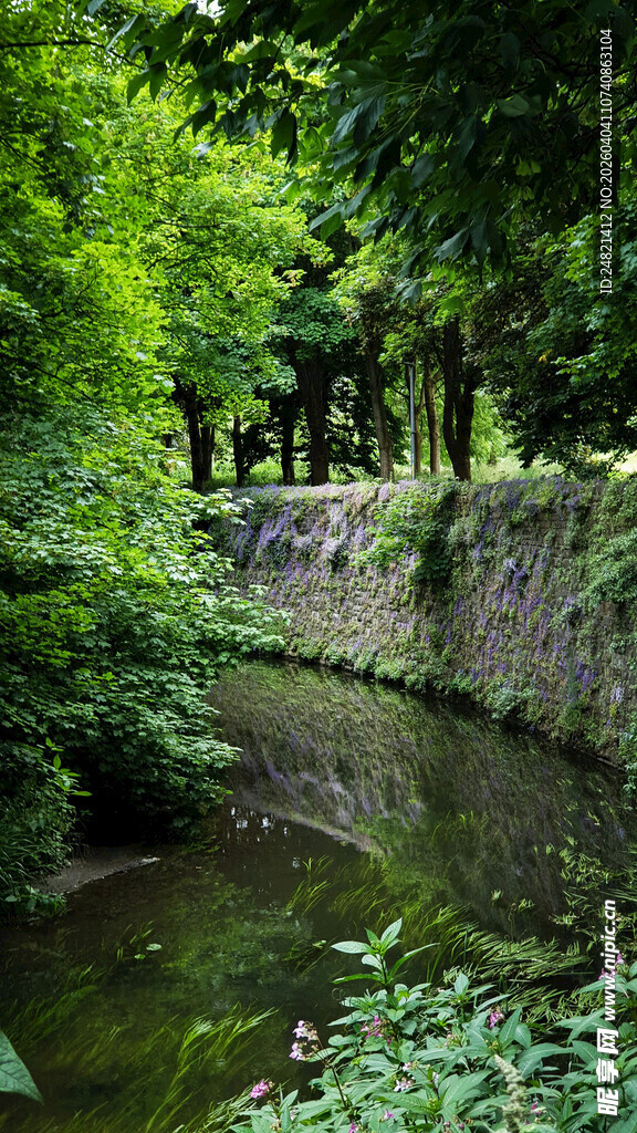 林间清幽小河景