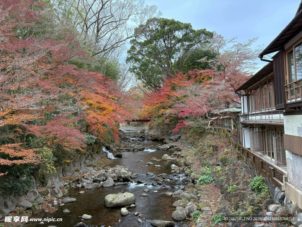 秋日溪边红叶环绕的小屋