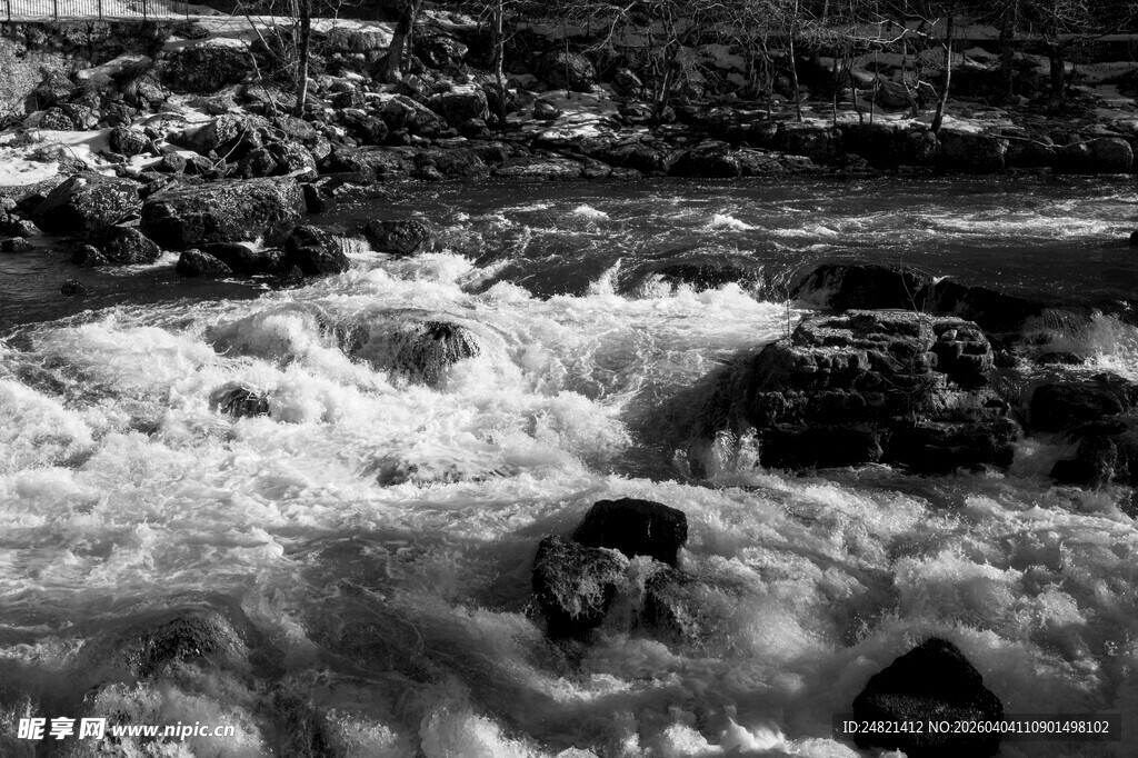 湍急水流中挣扎的身影