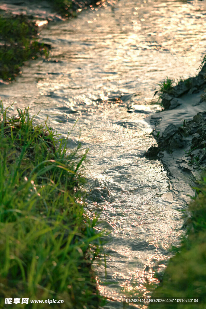 溪边绿草与潺潺流水