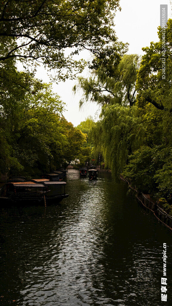 宁静河道边的绿意景致