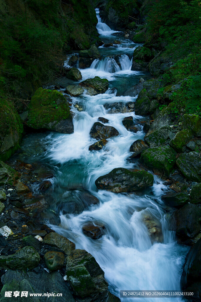 山间溪流潺潺流淌