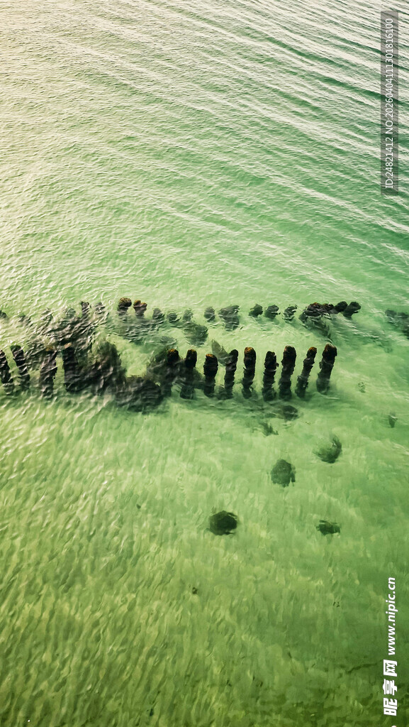 草原上的动物迁徙队伍