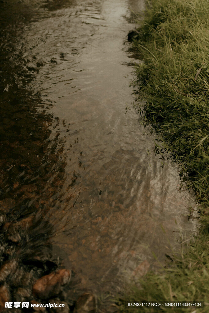 潺潺溪流边的自然景致