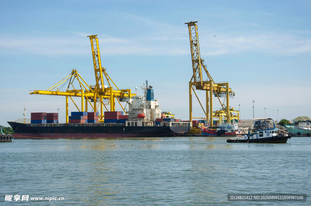 港口码头的繁忙装卸场景