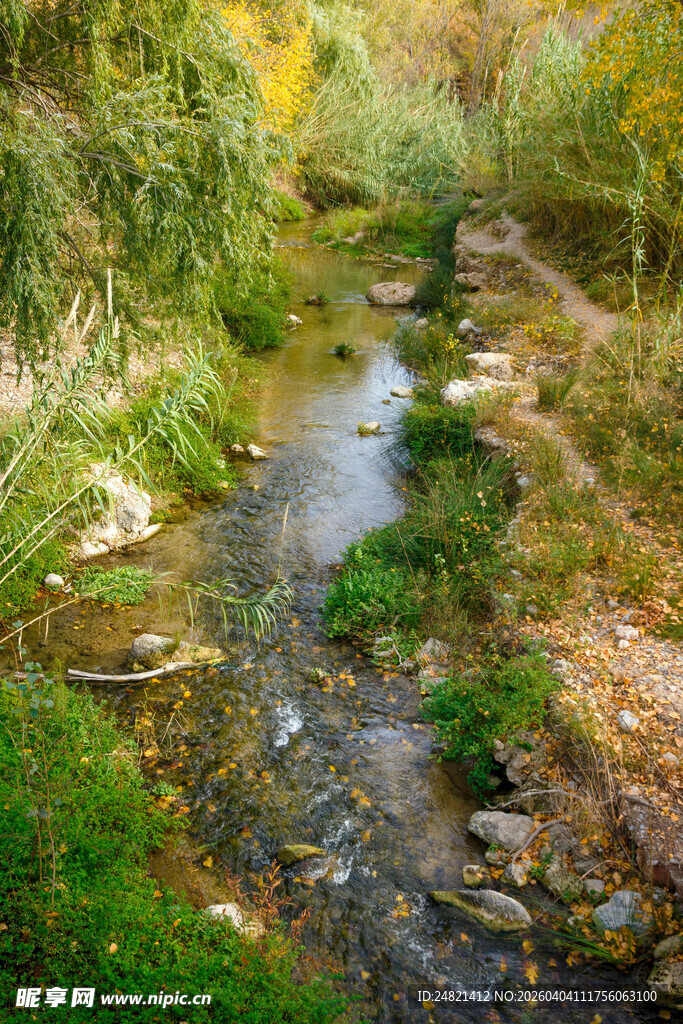 山间小溪