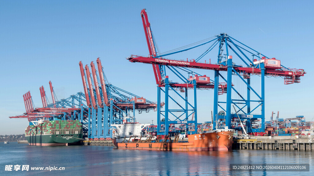 港口起重机壮观景象