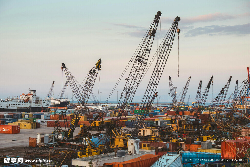 港口繁忙景象中的起重机