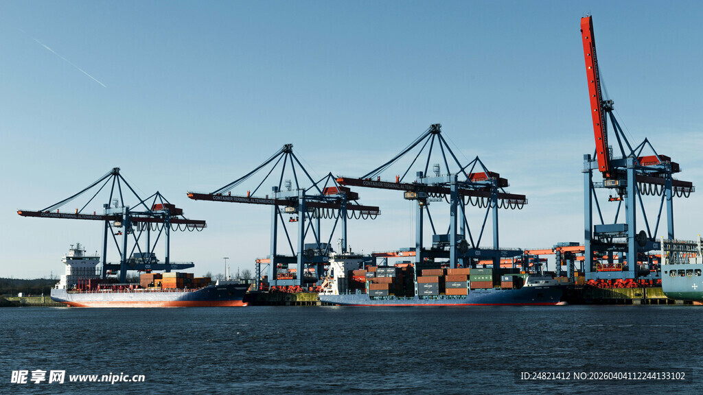 港口繁忙的起重机景象