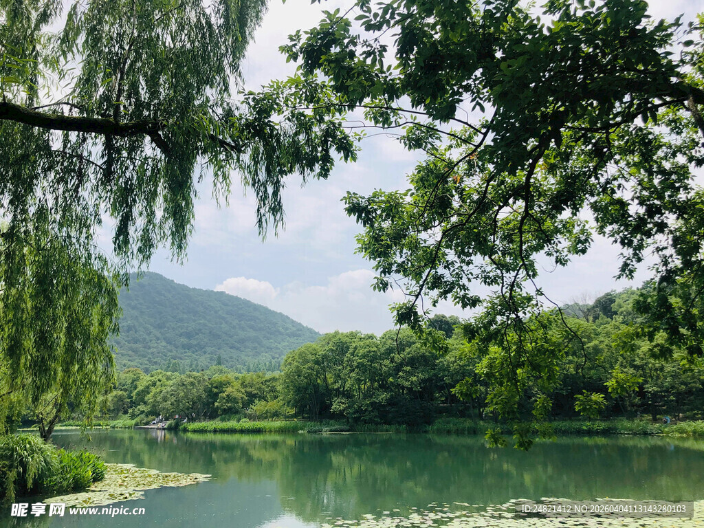 湖畔绿意盎然的自然景致