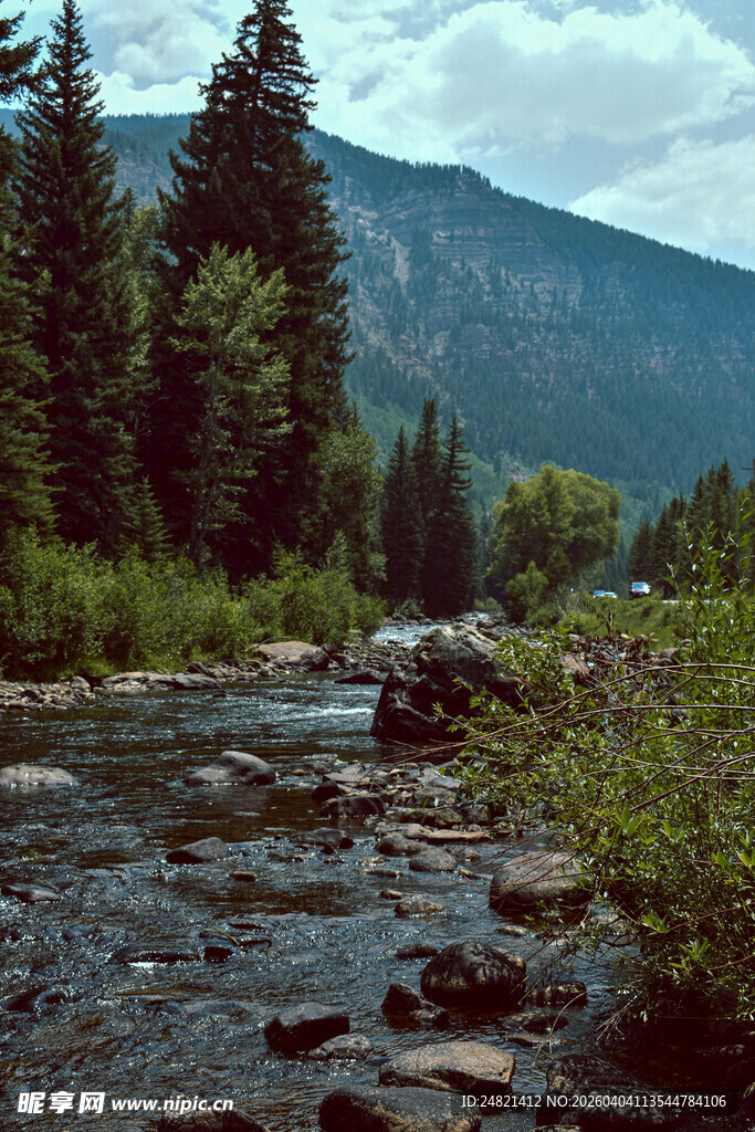 山间溪流旁的茂密森林