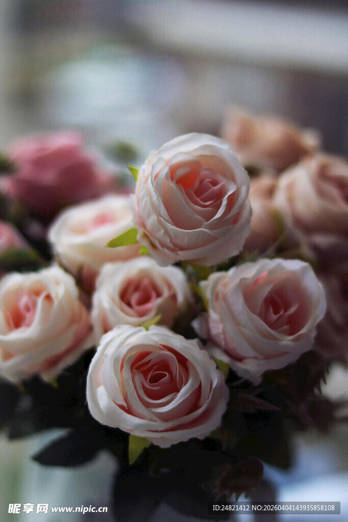 粉色系柔美玫瑰花束