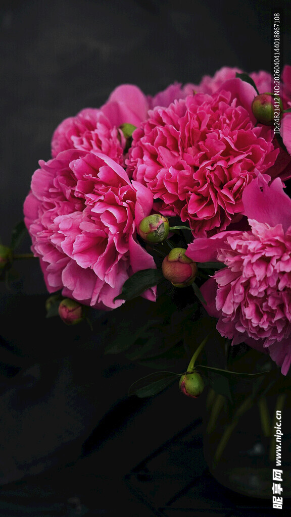 娇艳粉色牡丹花束