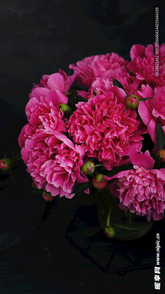 粉色康乃馨插花艺术
