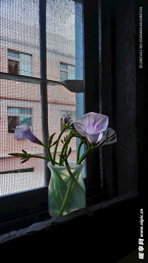 窗边花瓶中的紫色小花