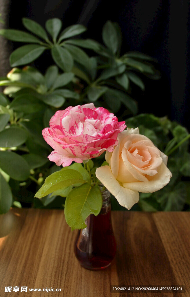 花瓶中两朵娇艳的鲜花