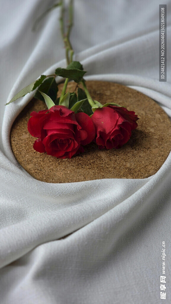 两朵红玫瑰置于软布上