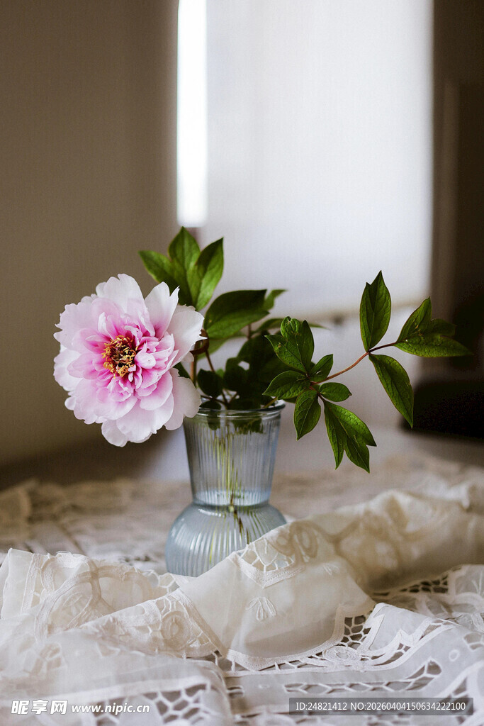 花瓶中绽放的粉色花朵