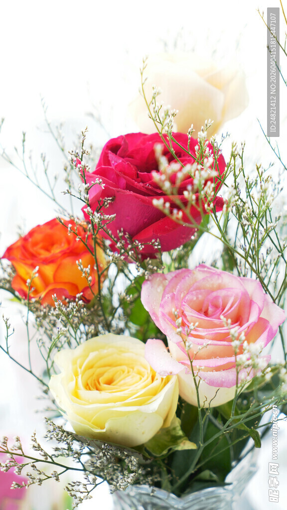 多彩娇艳玫瑰花束