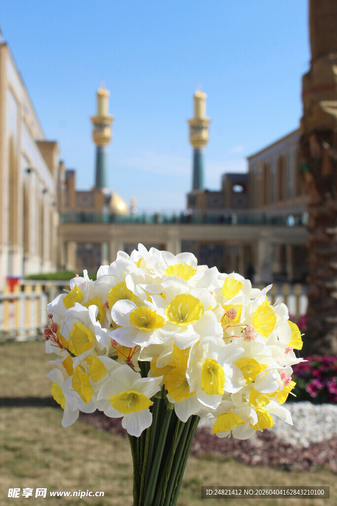 庭院中的黄白花卉绽放
