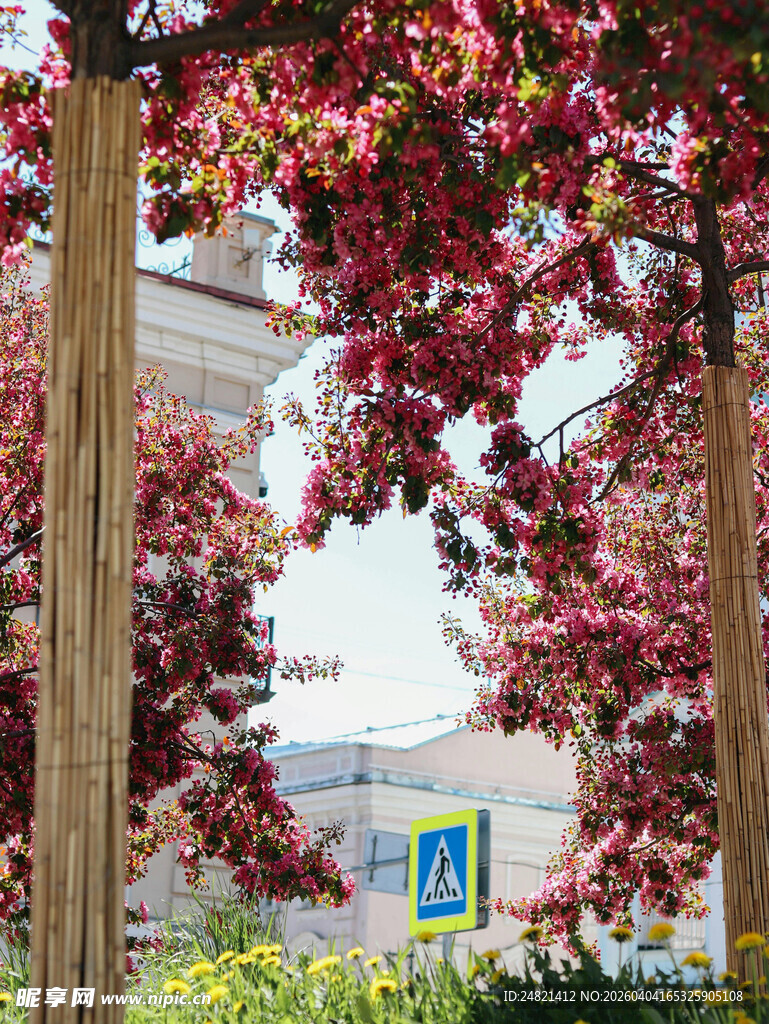 繁花簇拥下的蓝色标识