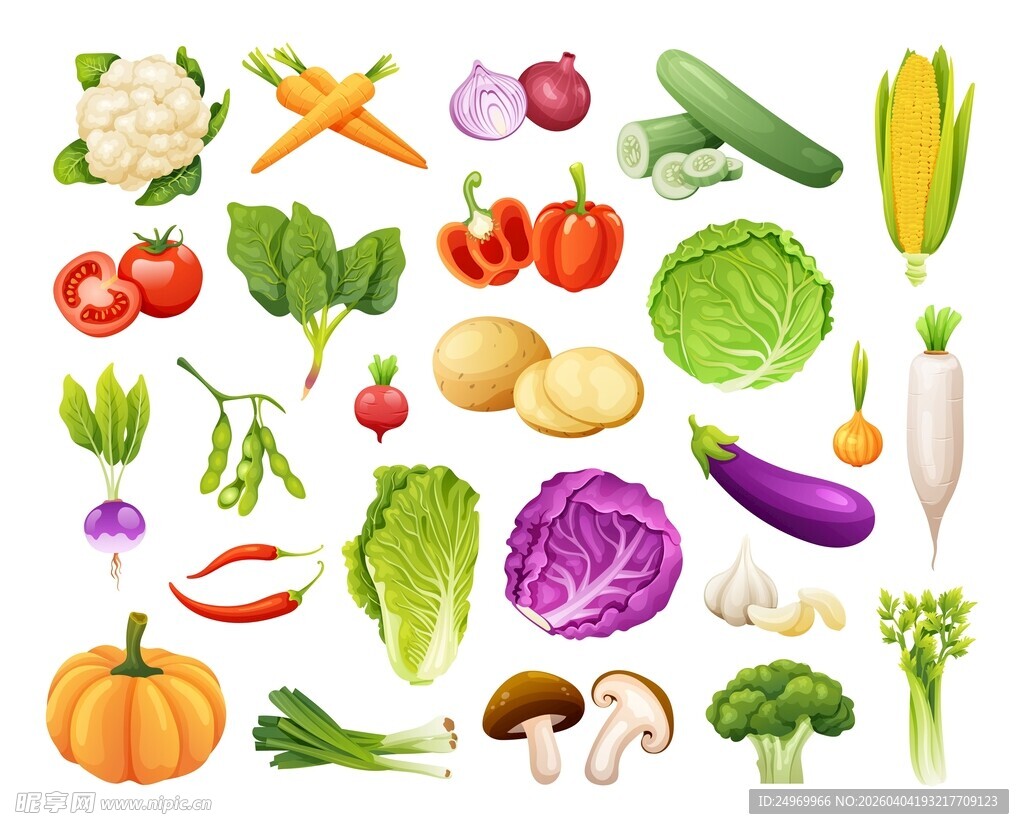 多样新鲜蔬菜集合展示