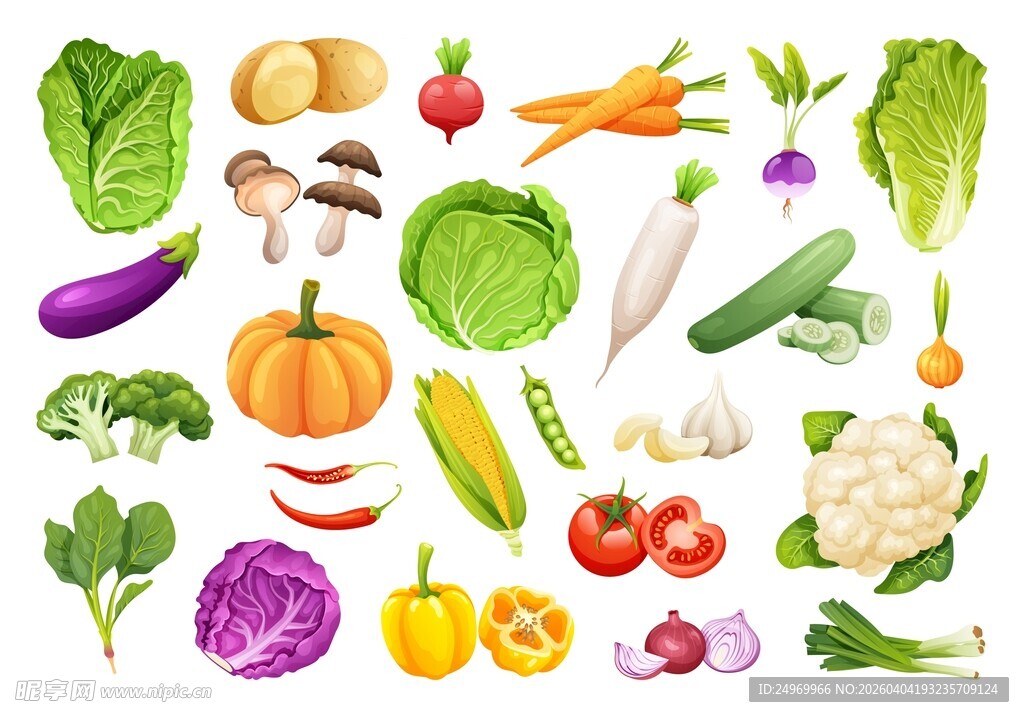 多样新鲜蔬菜集合展示