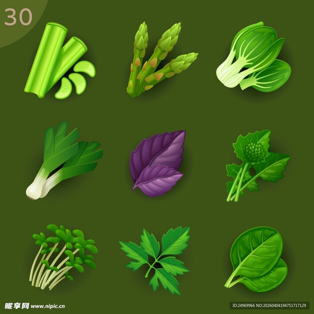 多样新鲜蔬菜集合