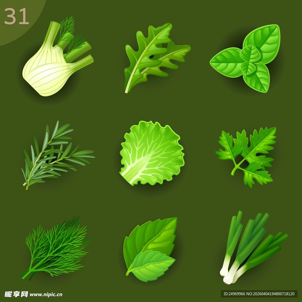多样新鲜绿叶蔬菜集合