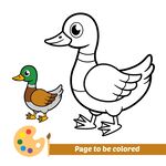 鸭子填色页