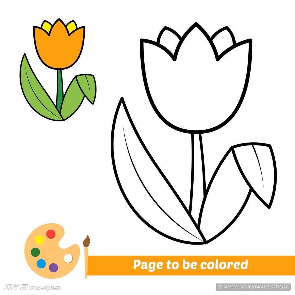 郁金香填色图