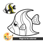 热带鱼涂色页