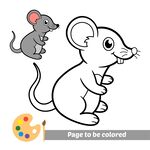 可爱老鼠待涂色