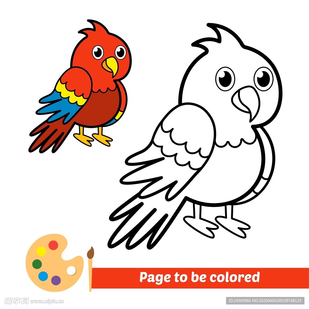 鹦鹉填色页