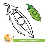 豌豆简笔画