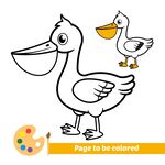 鹈鹕与鸭子涂色页